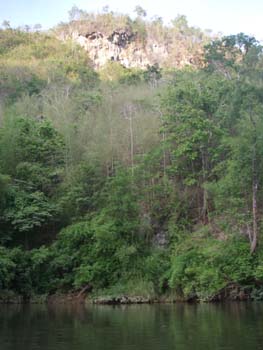 IMGP0787