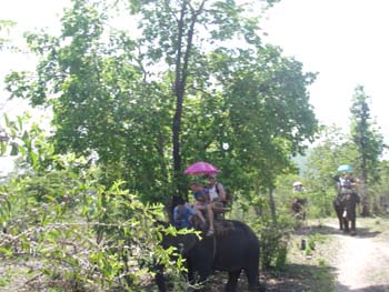 IMGP0824