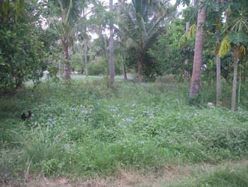 IMGP0892