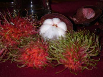 IMGP0913