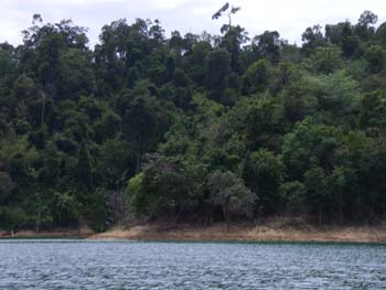 IMGP0923