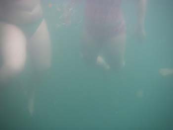IMGP0945