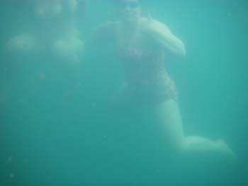 IMGP0946