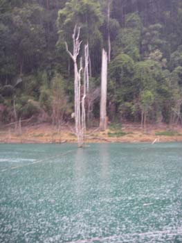 IMGP0948
