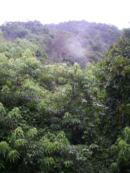 IMGP0961