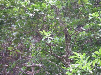 IMGP0964