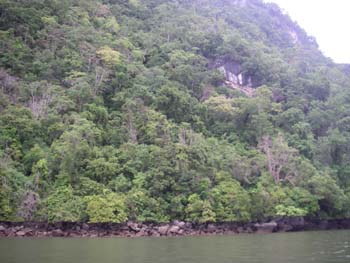 IMGP0973
