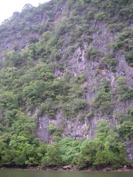 IMGP0974