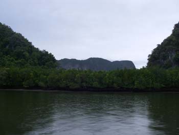 IMGP0975