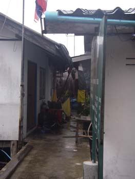 IMGP0985