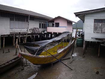 IMGP0988