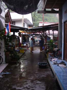 IMGP0991