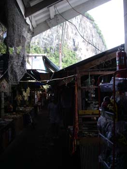 IMGP0992