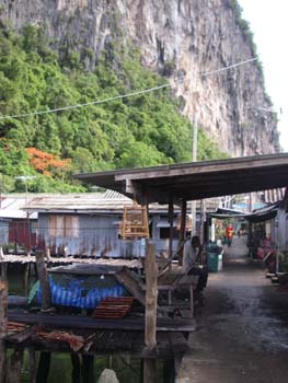IMGP0994