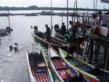 IMGP0996